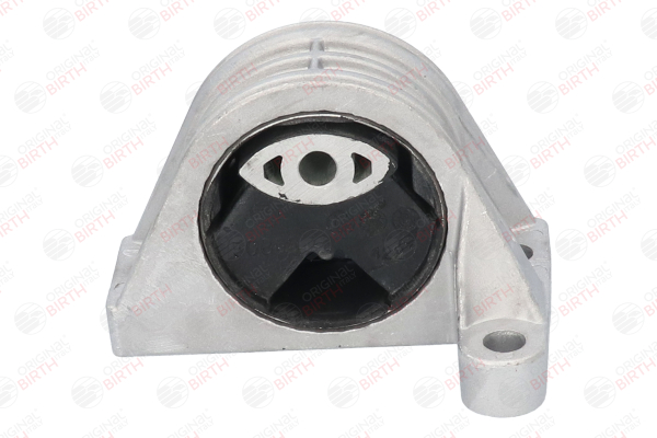 Motorlager 50863 BIRTH 180256 FIAT, PEUGEOT, CITROЁN, DS