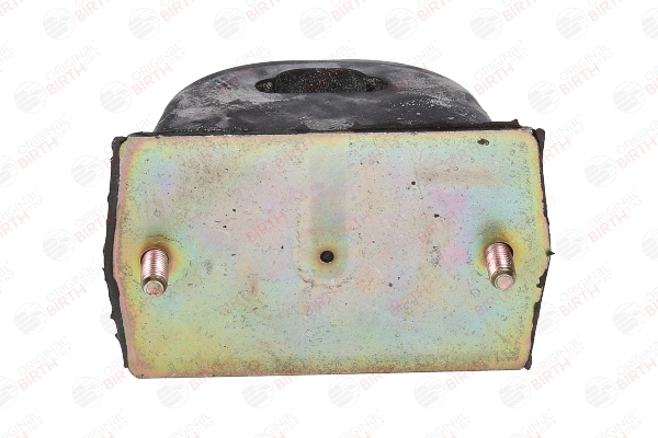 BIRTH 51542 Protection d'amortisseur JEEP Grand Cherokee WH 3.0 CRD 4x4 218 CV Diesel 2009