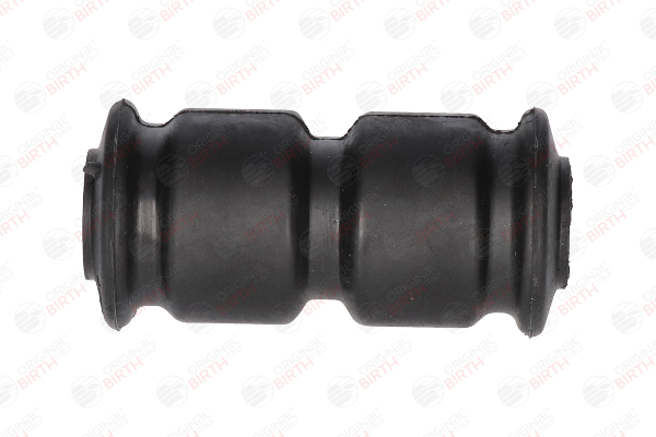 BIRTH 51587 Blattfeder RENAULT CLIO Kosten