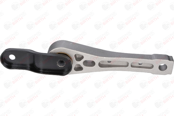 Original Motorhalterung BIRTH TRANSPORTER