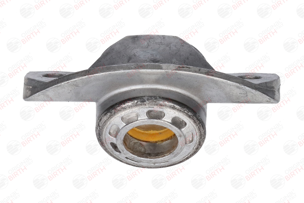 Supporto ammortizzatore e cuscinetto BIRTH 52155