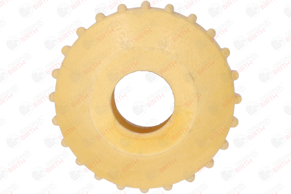 Engine mounting BIRTH 52522