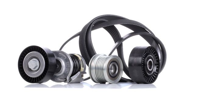 Set curea transmisie cu caneluri 03H903023M INA 529024010 VW, AUDI, SKODA, SEAT, PORSCHE